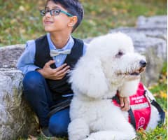 young child with dog guide